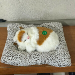 Sleeping Cat Car Dashboard Decor Cute Soft Toy for Home & Office
