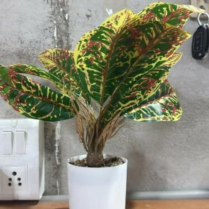 Artificial Decorative Leaf Plant with Pot for Home & Office Table Décor