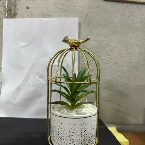 Golden Bird Cage Tabletop Planter with Decorative Pot(Color may vary)