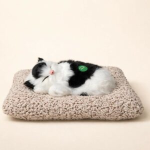 Sleeping Cat Car Dashboard Decor Soft Toy Showpiece for Home & Office