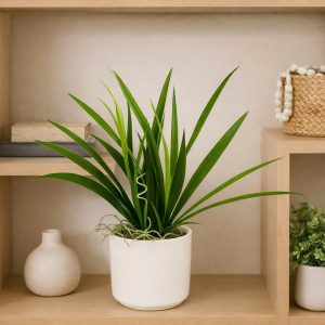 Artificial Indoor Tabletop Plant in Decorative Pot for Home & Office Décor