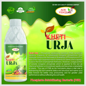 AgriVenture KHETI URJA ( PSB Phosphate Solubilizing Bacteria ) (1Ltr)
