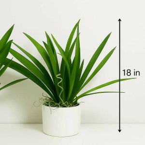 Artificial Indoor Tabletop Plant in Decorative Pot for Home & Office Décor