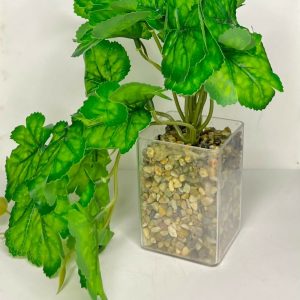 Artificial Trailing Leaf Plant in Clear Pot for Home & Office Table Décor