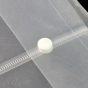 Mix Design Transparent Document Folder – A4 Size Clear File Protector (1 Pc)