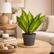 Artificial Decorative Tabletop Plant with Pot for Home & Office Décor